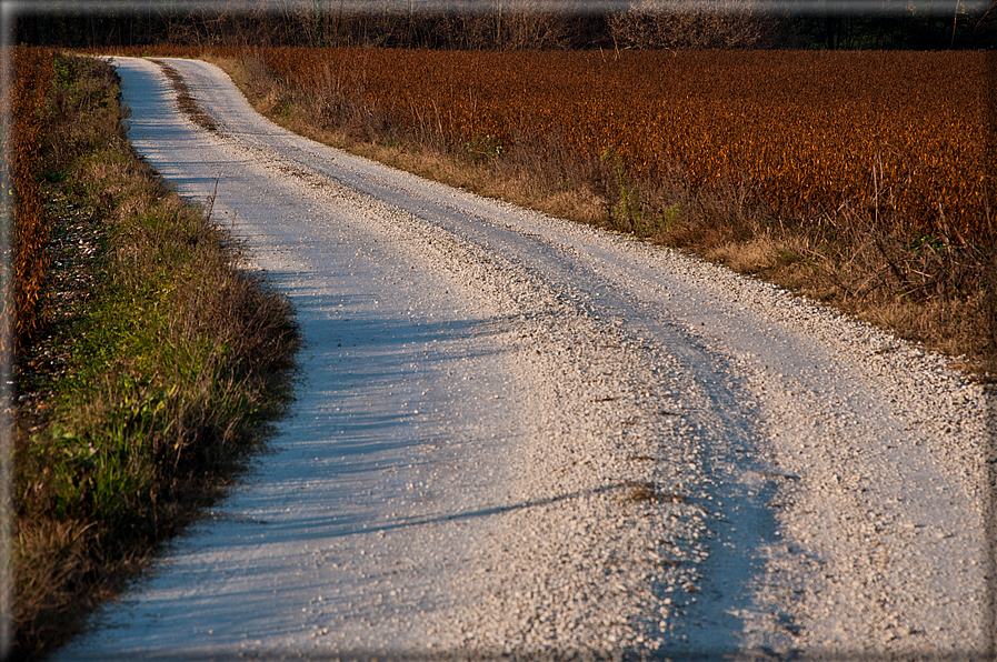 foto Colline Marosticane in Autunno